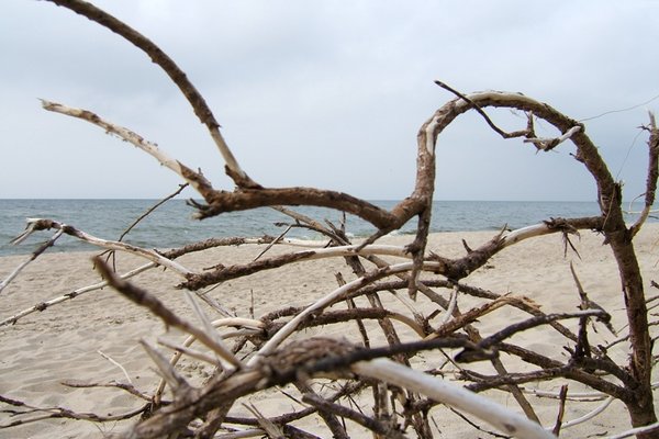 Bałtycka plaża - Fot. Agnieszka Markiton