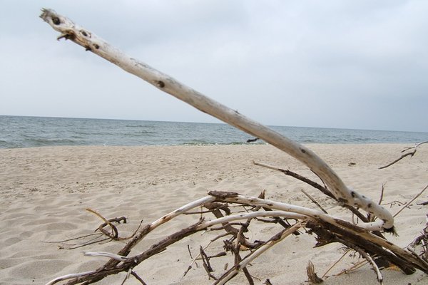 Bałtycka plaża - Fot. Agnieszka Markiton