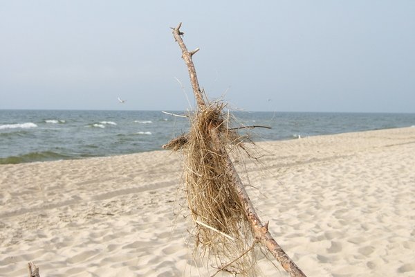 Bałtycka plaża - Fot. Agnieszka Markiton