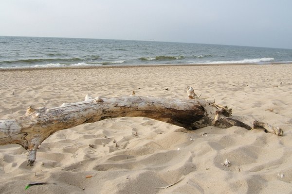 Bałtycka plaża - Fot. Agnieszka Markiton