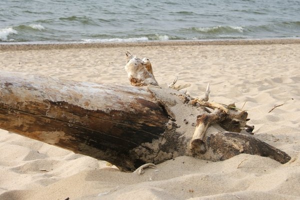 Bałtycka plaża - Fot. Agnieszka Markiton