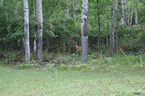 Manitoulin Island - Fot. Krzysztof Zalecki