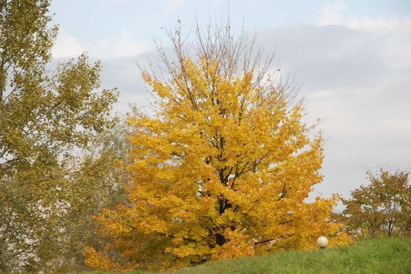 Kadzielnia jesienią - Fot. Agnieszka Markiton