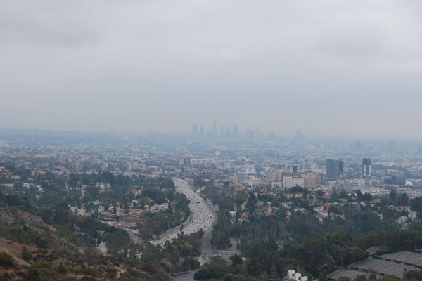 Hollywood - Fot. Patryk Stępień