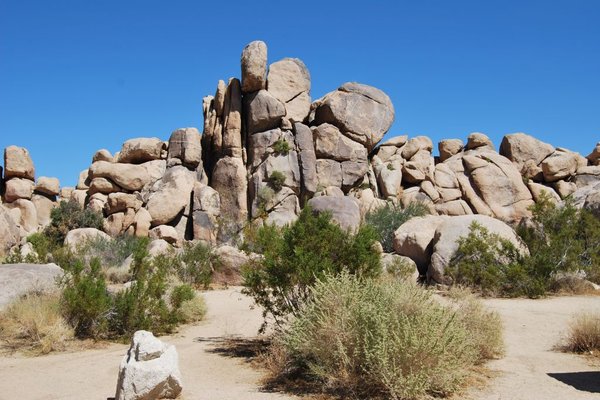 Joshua Tree National Park (Park Narodowy Drzewa Jozuego) - Fot. Patryk Stępień