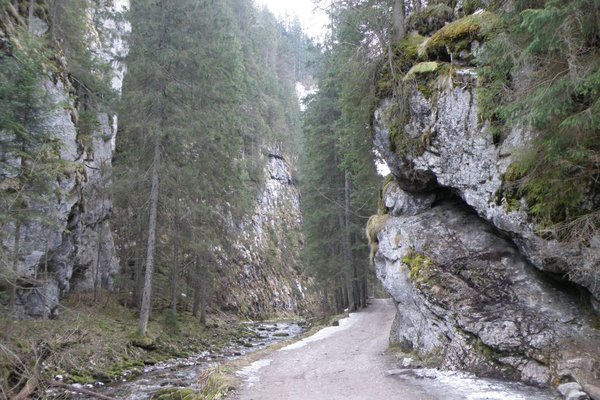 Dolina Kościeliska - Fot. Edyta Ruszkowska