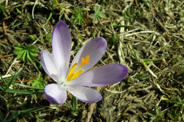 Dolina Kościeliska - Fot. Edyta Ruszkowska