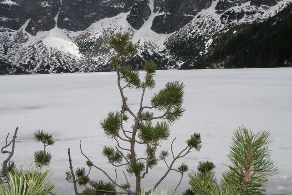 Morskie Oko - Jezioro pochodzenia polodowcowego. Fot. Edyta Ruszkowska