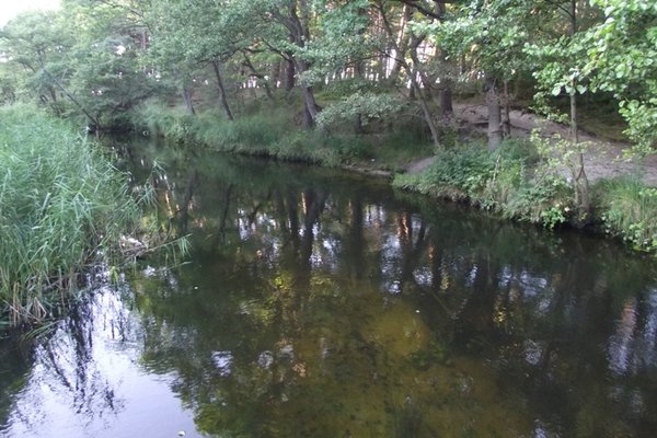 Od Helu po Świnoujście - Rzeka Piasnica
Fot. Agnieszka Markiton
