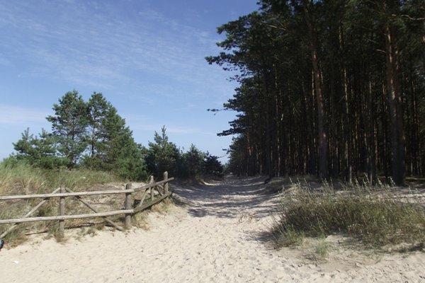 Od Helu po Świnoujście - Wybrzeże w Dębkach
Fot. Agnieszka Markiton
