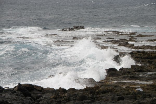 Fuerteventura  - Fot. Edyta Ruszkowska