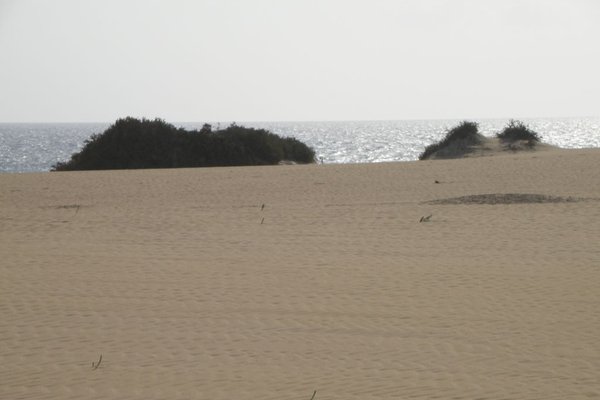 Fuerteventura  - Fot. Edyta Ruszkowska