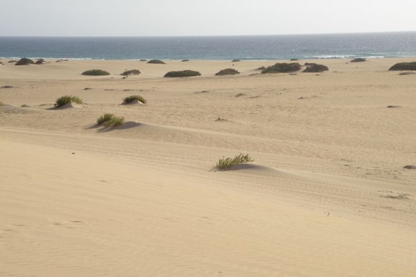 Fuerteventura  - Fot. Edyta Ruszkowska