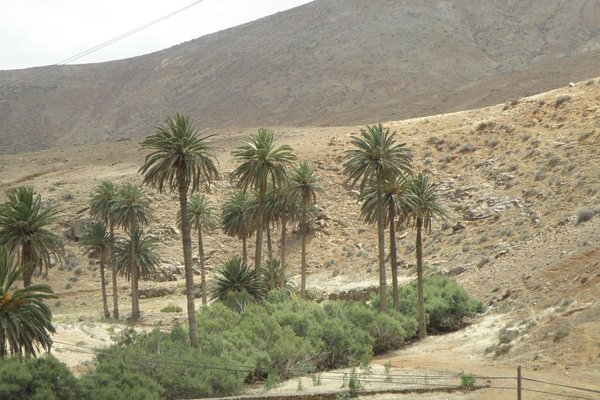 Fuerteventura  - Fot. Edyta Ruszkowska