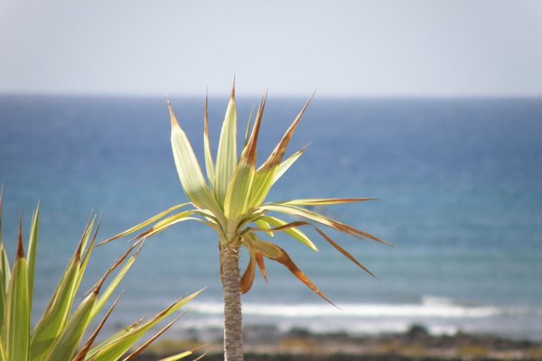 Fuerteventura  - Fot. Edyta Ruszkowska