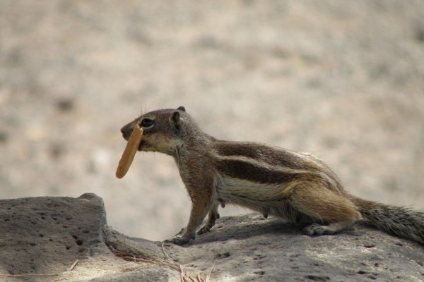 Fuerteventura  - Fot. Edyta Ruszkowska