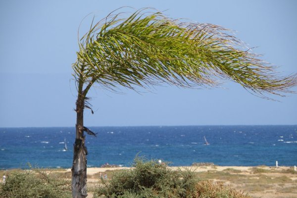 Fuerteventura  - Fot. Edyta Ruszkowska