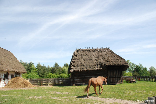 Zagroda ze Ślęzan - Jednozapolowa stodoła