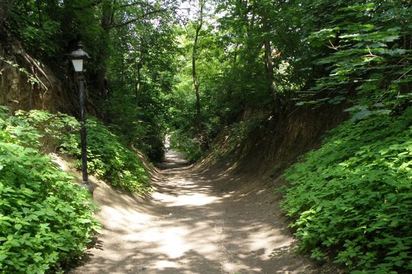 Sandomierz - Wąwóz Królowej Jadwigi. Fot. Edyta Ruszkowska