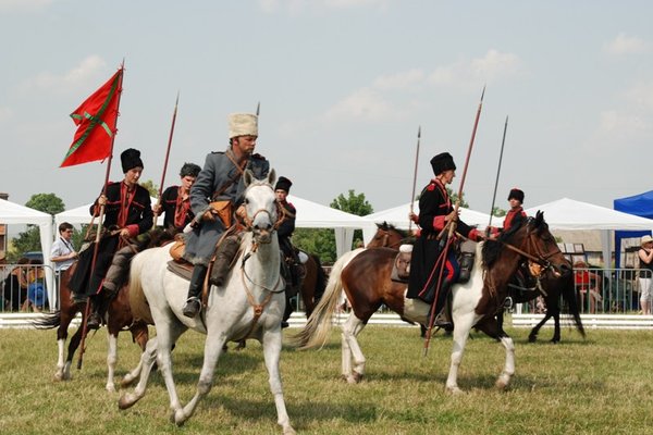 Świętokrzyskie - kraina pięknych koni - Stadnina Koni 