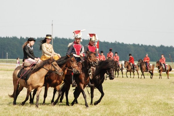 Świętokrzyskie - kraina pięknych koni - Stadnina Koni 