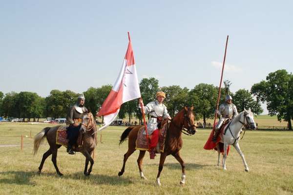 Świętokrzyskie - kraina pięknych koni - Stadnina Koni 