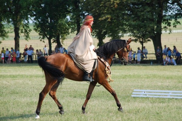 Świętokrzyskie - kraina pięknych koni - Stadnina Koni 