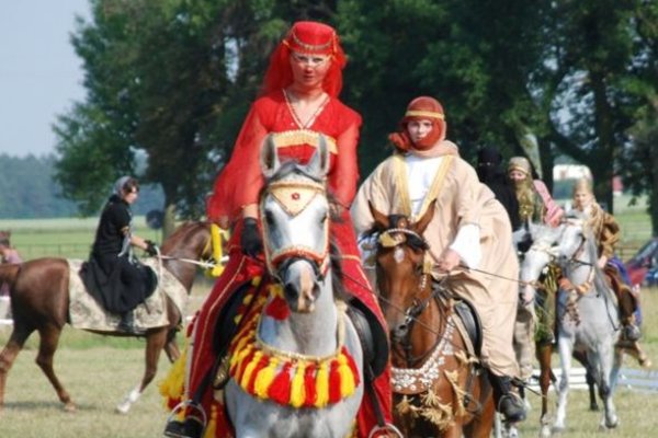 Świętokrzyskie - kraina pięknych koni - Stadnina Koni 