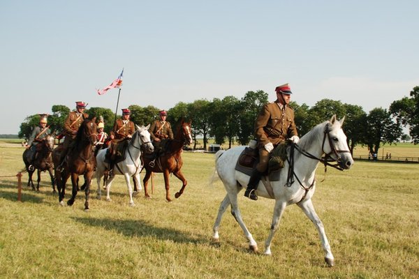 Świętokrzyskie - kraina pięknych koni - Stadnina Koni 