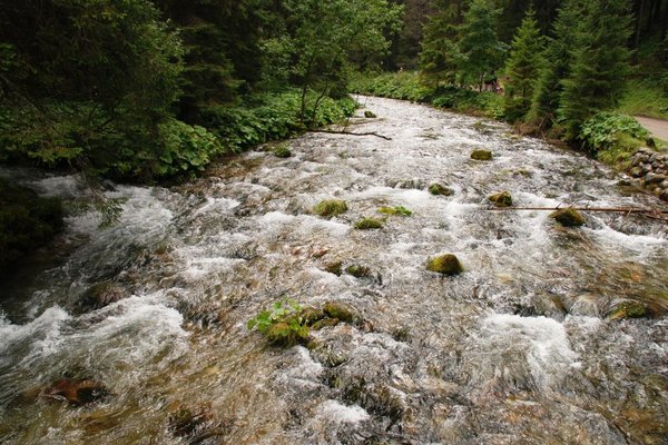 Zakopane i okolice - Fot. Mirosław Piróg