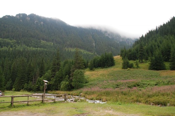 Zakopane i okolice - Fot. Mirosław Piróg