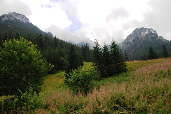 Zakopane i okolice - Fot. Mirosław Piróg