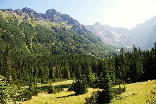 Zakopane i okolice - Fot. Mirosław Piróg