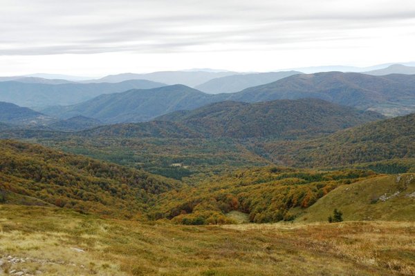 Bieszczady i okolice - Fot. Edyta Ruszkowska