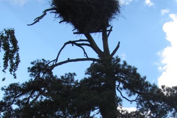 Ach, świętokrzyskie czaruje - Praca Grzegorza Piśkorskiego wyróżniona w kategorii 