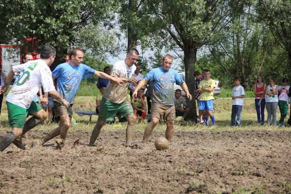 Błotnowola 2013 - Źródło: Adam Ochwanowski