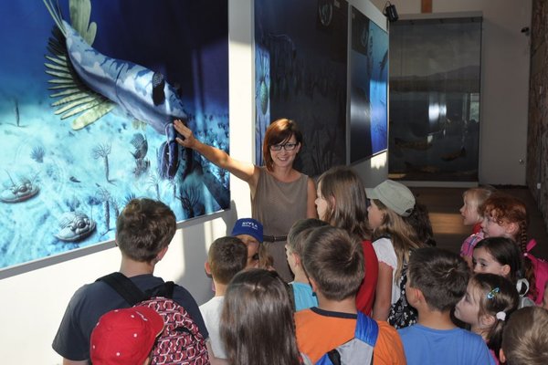 Wakacyjna Akademia Geologii w Centrum Geoedukacji - Uczestnicy Wakacyjnej Akademii Geologii podczas zwiedzania Galerii Ziemi 