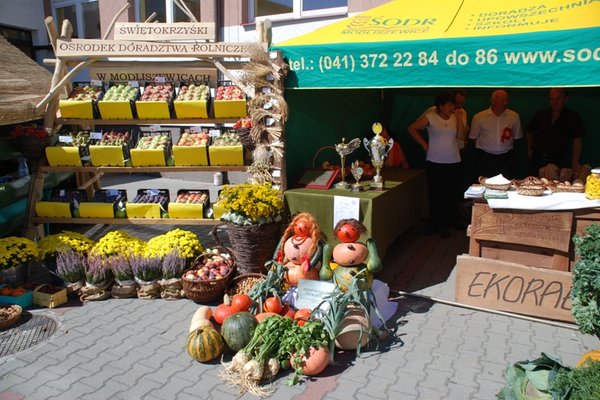 XIII Świętokrzyskie Dożynki Wojewódzkie - Fot. Agnieszka Markiton