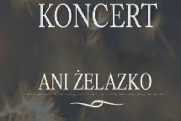 Koncert Ani Żelazko