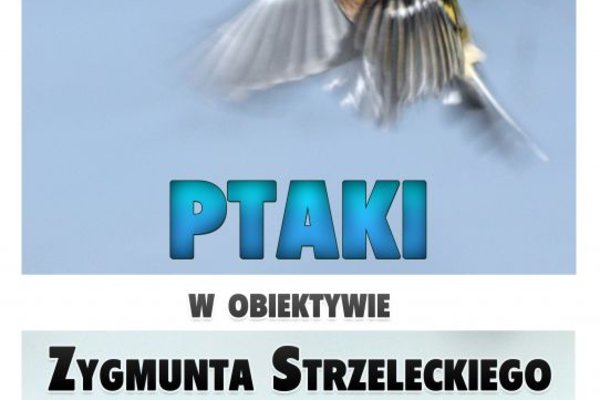 Ptaki w obiektywie Zygmunta Strzeleckiego 