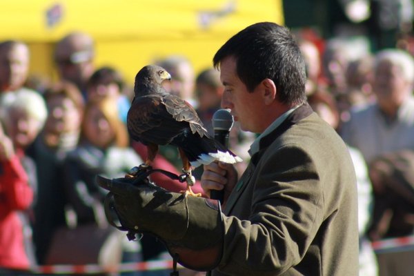 Hubertus Świętokrzyski 2014 - Fot. Mariusz Lis