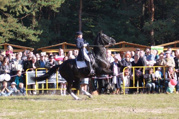 Hubertus Świętokrzyski 2014 - Fot. Mariusz Lis