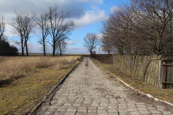 Warsztaty pieśni tradycyjnych