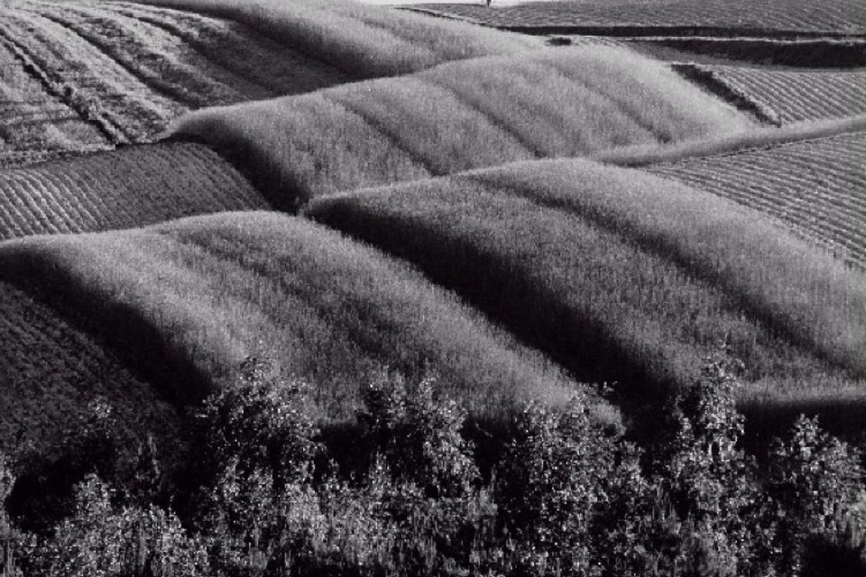 Paweł Pierściński i Polska Fotografia Krajobrazowa