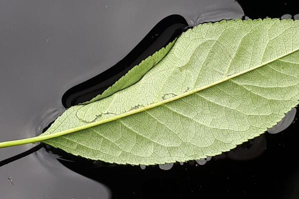 Wakacyjne odkrycia młodych fotografów na wystawie