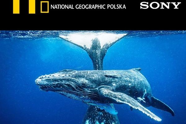 Konkurs Fotograficzny National Geographic