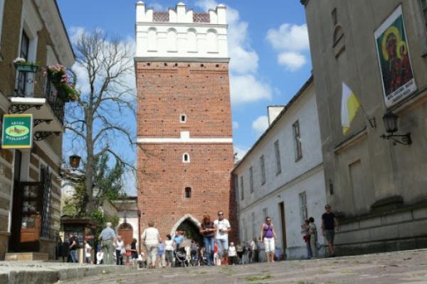 Sandomierz dołącza do akcji #globalgreening